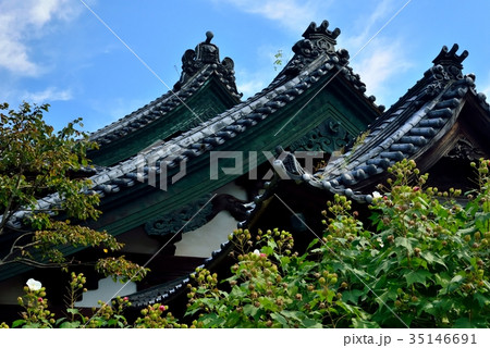 龍口寺 龍口寺 35146691