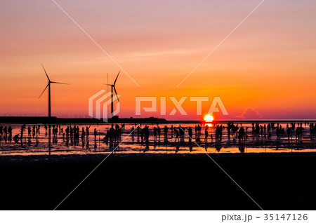 台湾高美湿地の夕景 台湾高美湿地の夕景 35147126