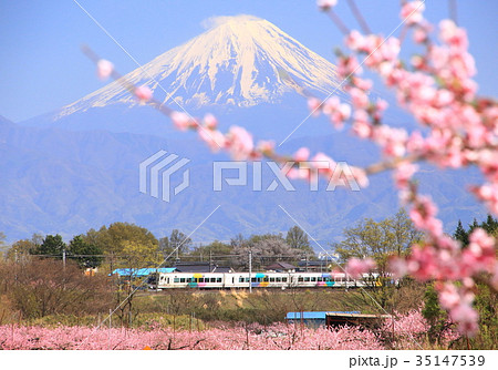 特急あずさと新府桃源郷と富士山 35147539