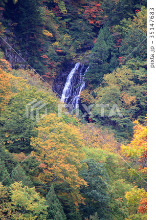 最上川源流の滝　黒滝 35147683