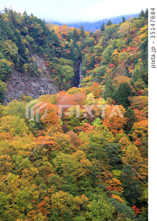 最上川源流の滝　赤滝 35147684