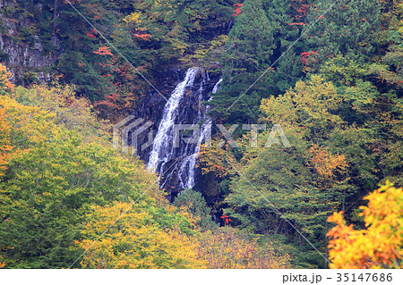 最上川源流の滝　黒滝 35147686