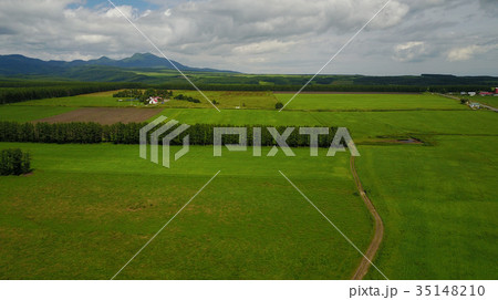 中標津２０１７・酪農地・キラウェイ第２ステージ 35148210