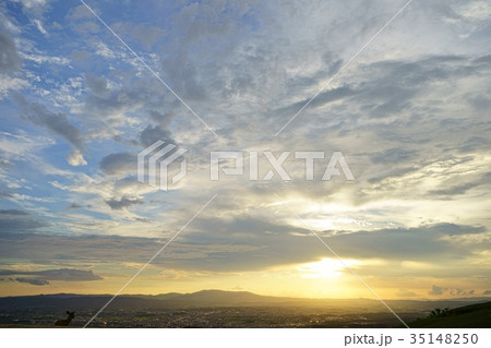 夕日を見つめる 35148250