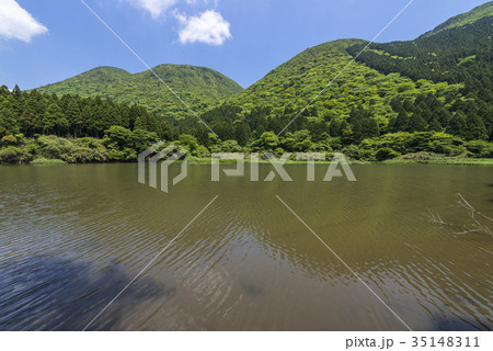 初夏のお玉ヶ池と二子山 35148311
