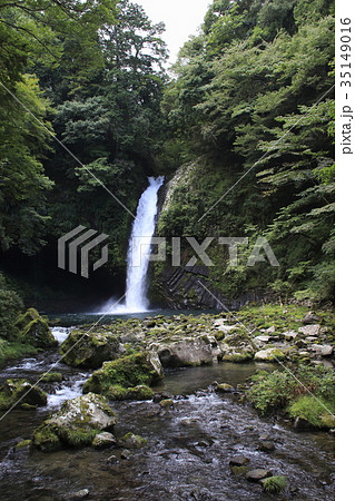 浄蓮の滝（静岡県） 35149016