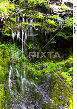 濁河川源流の滝 35149017