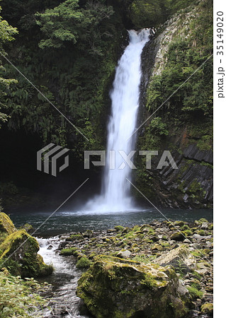 浄蓮の滝(静岡県) 浄蓮の滝(静岡県) 35149020