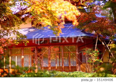 Hogonin Temple zen garden in early autumn 35149406