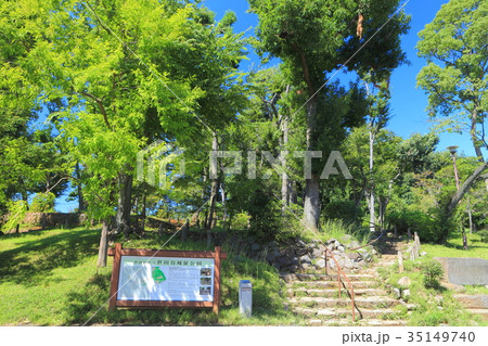 世田谷城阯公園 35149740