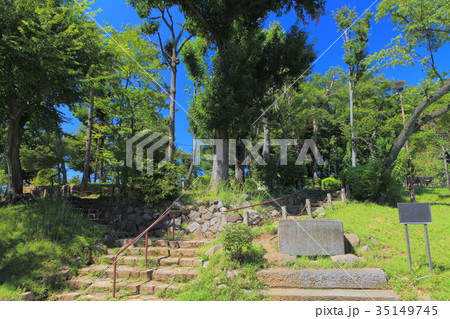 世田谷城阯公園 35149745