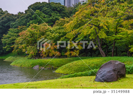 紅葉のはじまる、秋雨に濡れる小石川後楽園 35149988