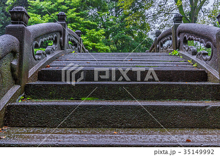 秋雨に濡れる小石川後楽園「円月橋」 35149992