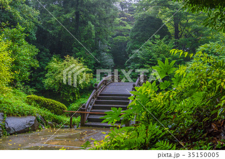 秋雨に濡れる小石川後楽園「円月橋」 35150005