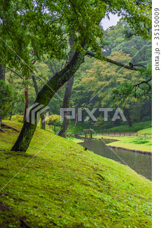 秋雨に濡れる小石川後楽園 35150009