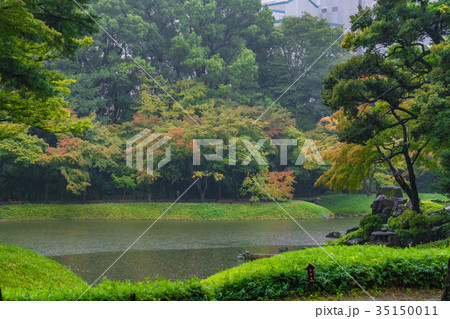 紅葉のはじまる、秋雨に濡れる小石川後楽園 35150011
