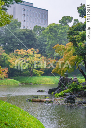 紅葉のはじまる、秋雨に濡れる小石川後楽園 紅葉のはじまる、秋雨に濡れる小石川後楽園 35150018