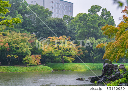 紅葉のはじまる、秋雨に濡れる小石川後楽園 35150020
