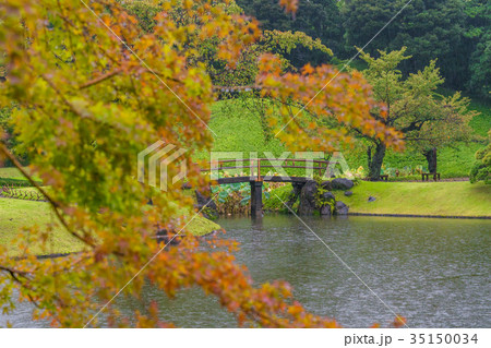 紅葉のはじまる、秋雨に濡れる小石川後楽園 紅葉のはじまる、秋雨に濡れる小石川後楽園 35150034