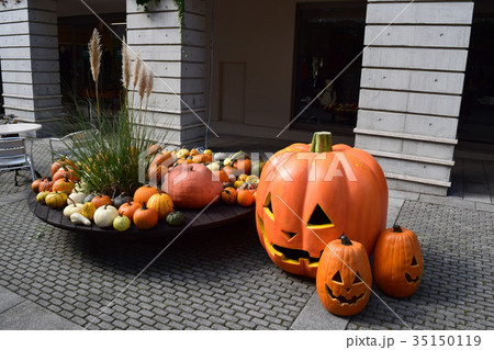 ハロウィーン ハロウィーン 35150119