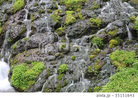 老野湧水の滝 老野湧水の滝 35151643