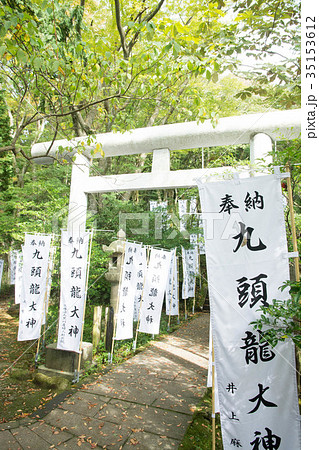 九頭竜神社 九頭竜神社 35153612