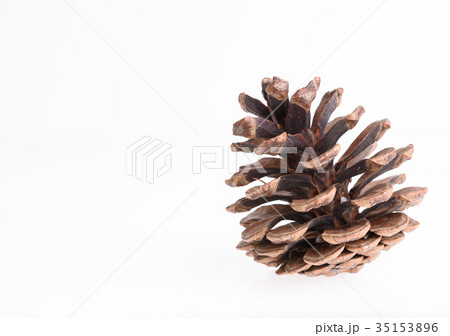 Pine cones isolated on white background,Christmas 35153896