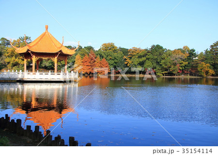 緑ヶ丘公園の下池 緑ヶ丘公園の下池 35154114
