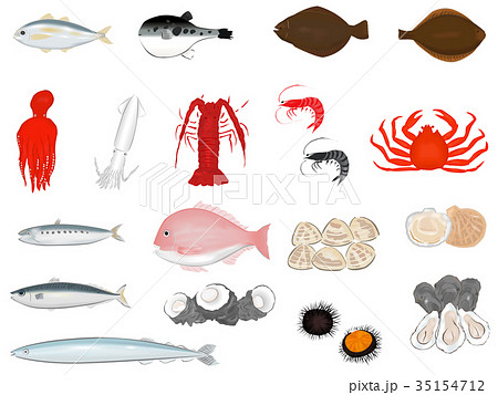 魚と貝のイラストセットのイラスト素材