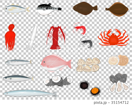 Illustration set of fish and shellfish Illustration set of fish and shellfish 35154712
