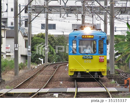 阪堺 モ501形 モ503 阪堺 モ501形 モ503 35155337