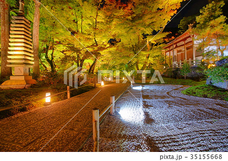 Hogonin Temple zen garden at night 35155668