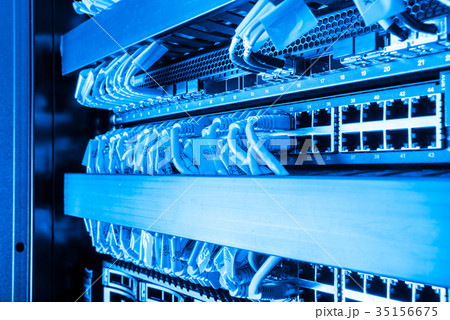 network cables connected to switch 35156675
