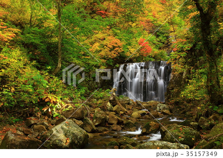紅葉の立又渓谷　二の滝 35157349
