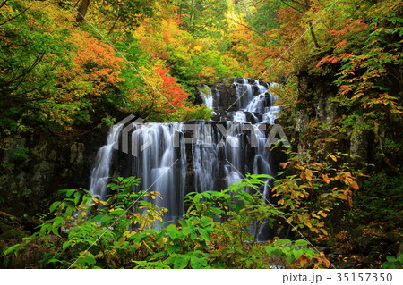 紅葉の立又渓谷　二の滝 35157350