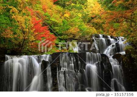 紅葉の立又渓谷　二の滝 35157356