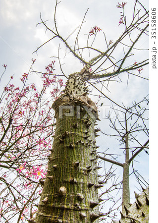 台湾 展示会 エキスポ 35158606