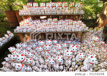 豪徳寺の招き猫 35159208