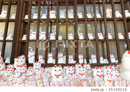 豪徳寺の招き猫 35159210