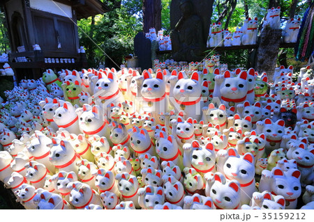 豪徳寺の招き猫 豪徳寺の招き猫 35159212