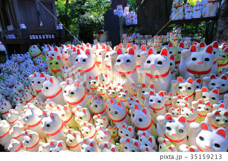 豪徳寺の招き猫 35159213