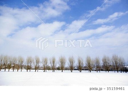 ファーム富田　冬 35159461