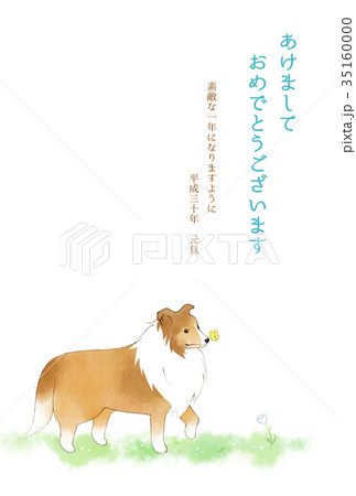 シェルティの年賀状 日本語賀詞 添え書き有り シェルティの年賀状 日本語賀詞 添え書き有り 35160000