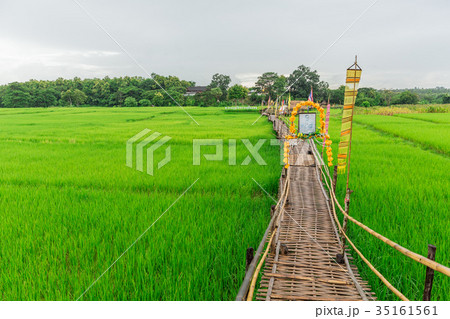 public travel location bamboo handmade bridge public travel location bamboo handmade bridge 35161561