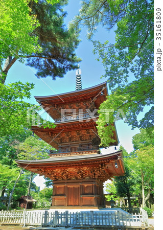 豪徳寺　三重塔 35161809