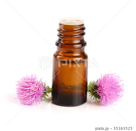 thistle oil and milk thistle flower isolated on 35163525