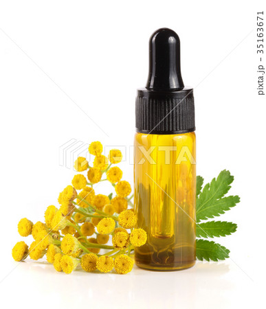 essential tansy oil with flowers and leaf isolated 35163671