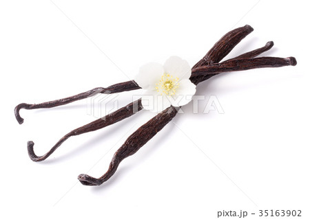 Vanilla sticks with flower isolated on white 35163902