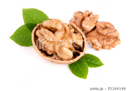 Walnut with leaf isolated on white background Walnut with leaf isolated on white background 35164146