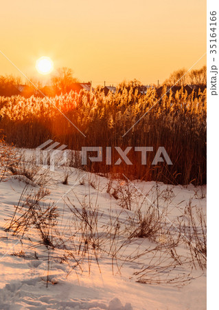 Beautiful yellow sunset in winter Beautiful yellow sunset in winter 35164166